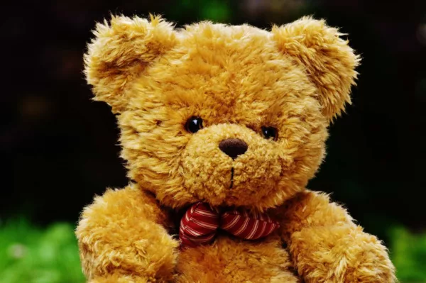 Teddy Bear - Image 4